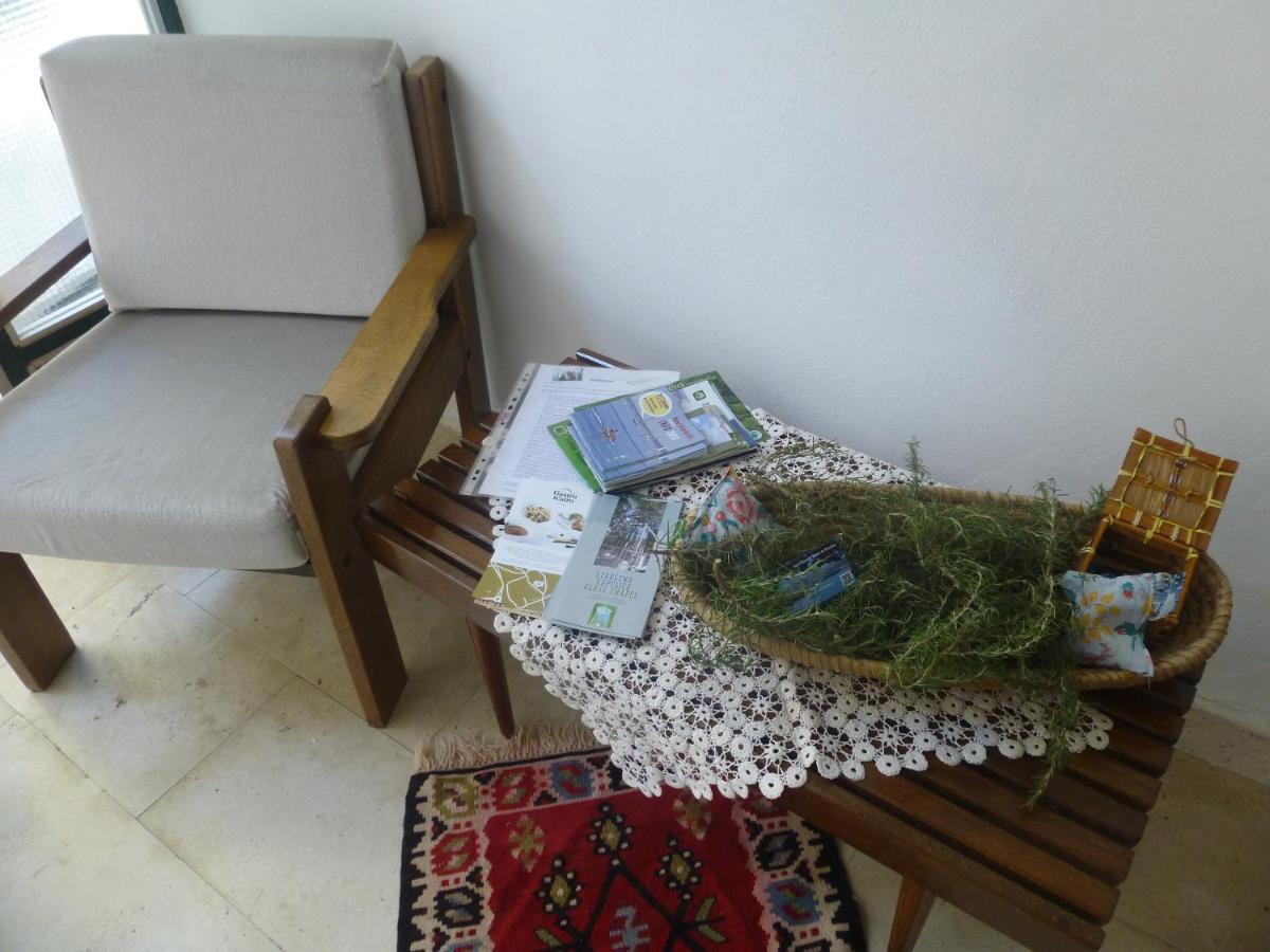 נובי ווינודולסקי Apartment Dada מראה חיצוני תמונה